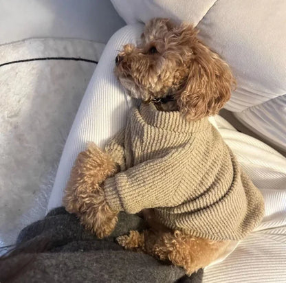 Cozy Companion Small Dog Sweater